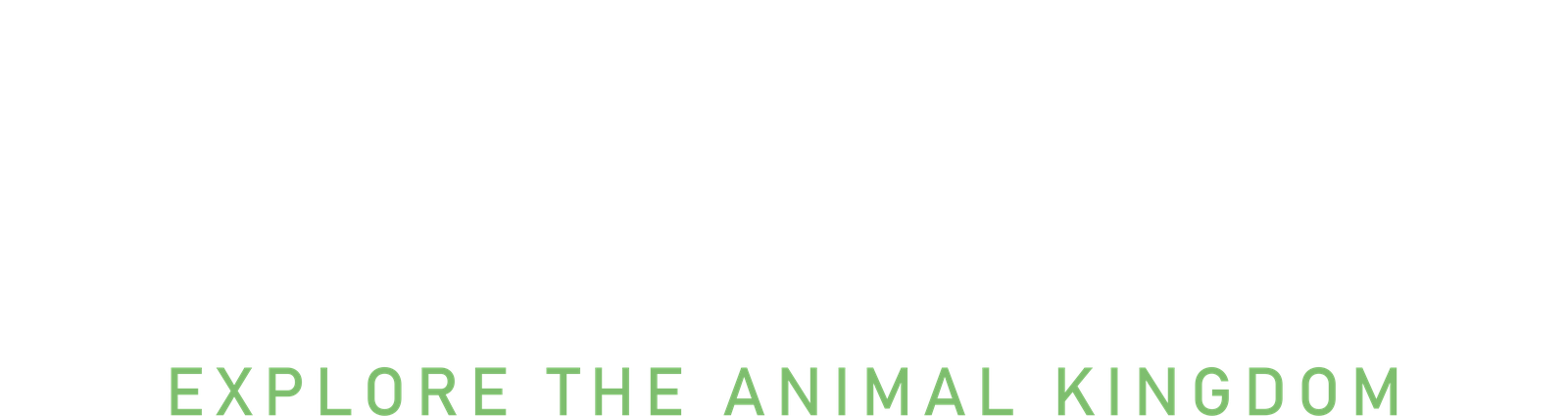 AnimalViewology