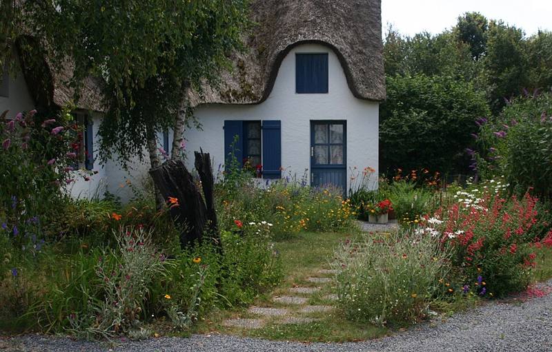 A garden planted to support wildlife